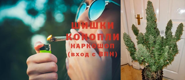 ПСИЛОЦИБИНОВЫЕ ГРИБЫ Осташков