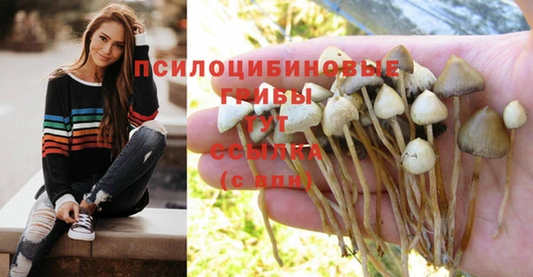 гашишное масло Няндома