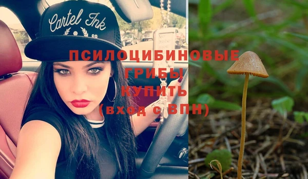 Альфа ПВП Осинники