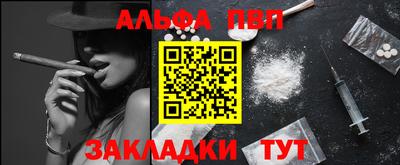 шишки Донской