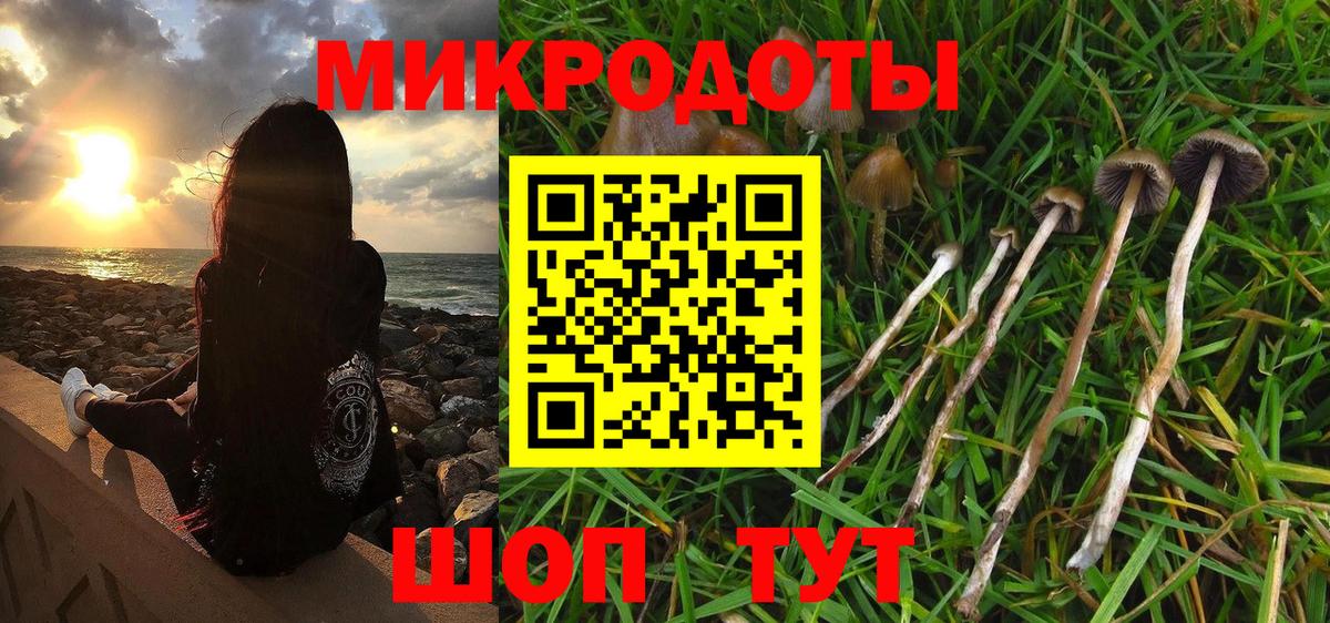 Галлюциногенные грибы Psilocybine cubensis  Вход с VPN  Псилоцибиновые грибы мухоморы  Сердобск 